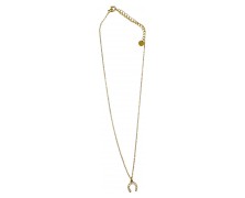 Υποαλλεργικό Κολιέ  Necklace with a horseshoe and crystals 40-45mm  (BE1FG01) Farma Bijoux